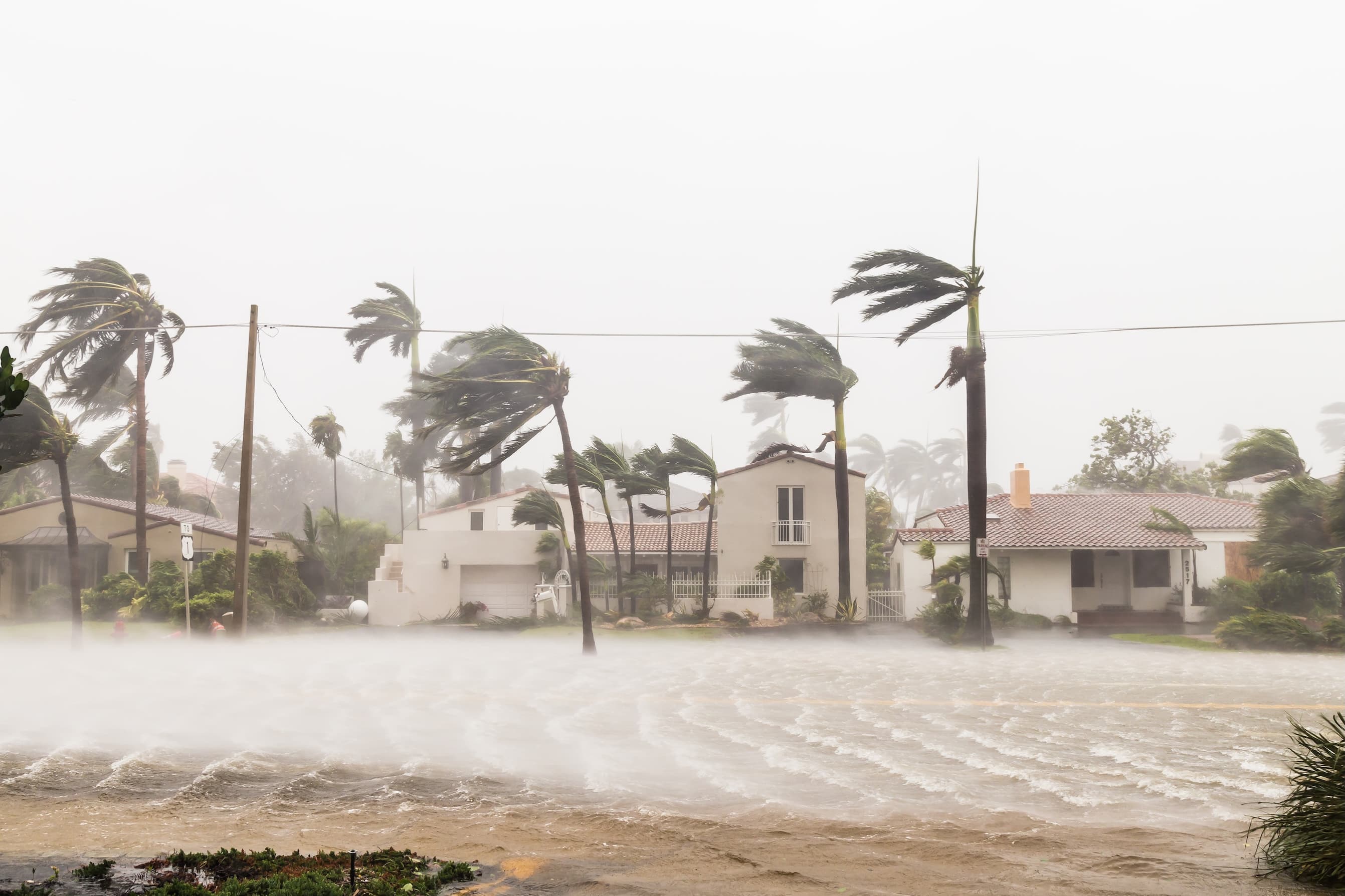 Commercial Property - Named Wind Storm